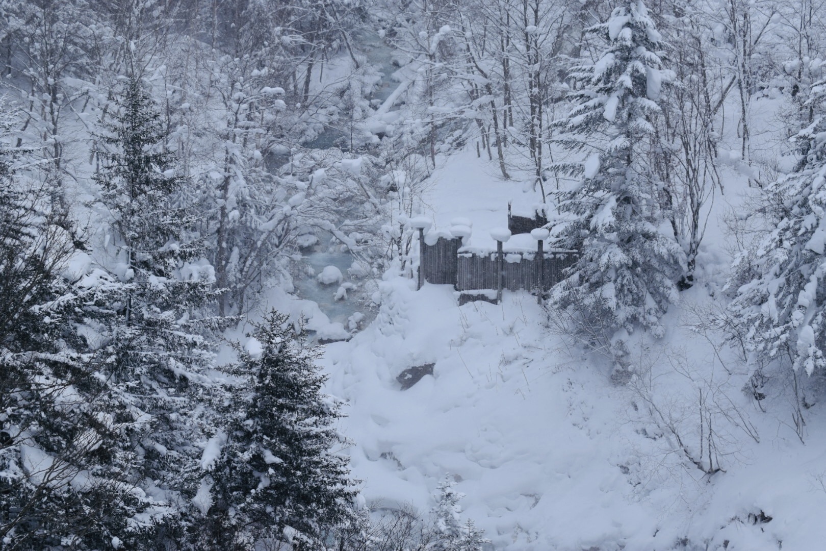 北海道自助遊攻略