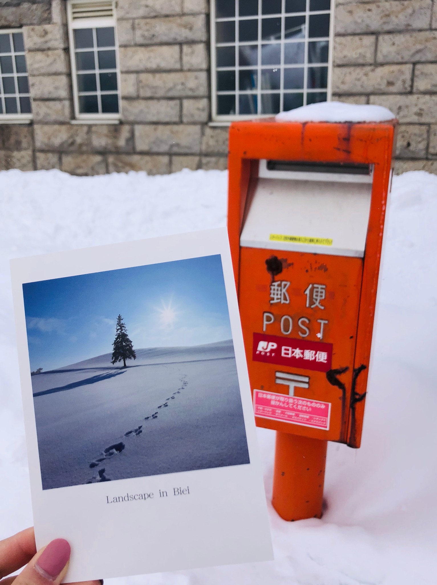 北海道自助遊攻略