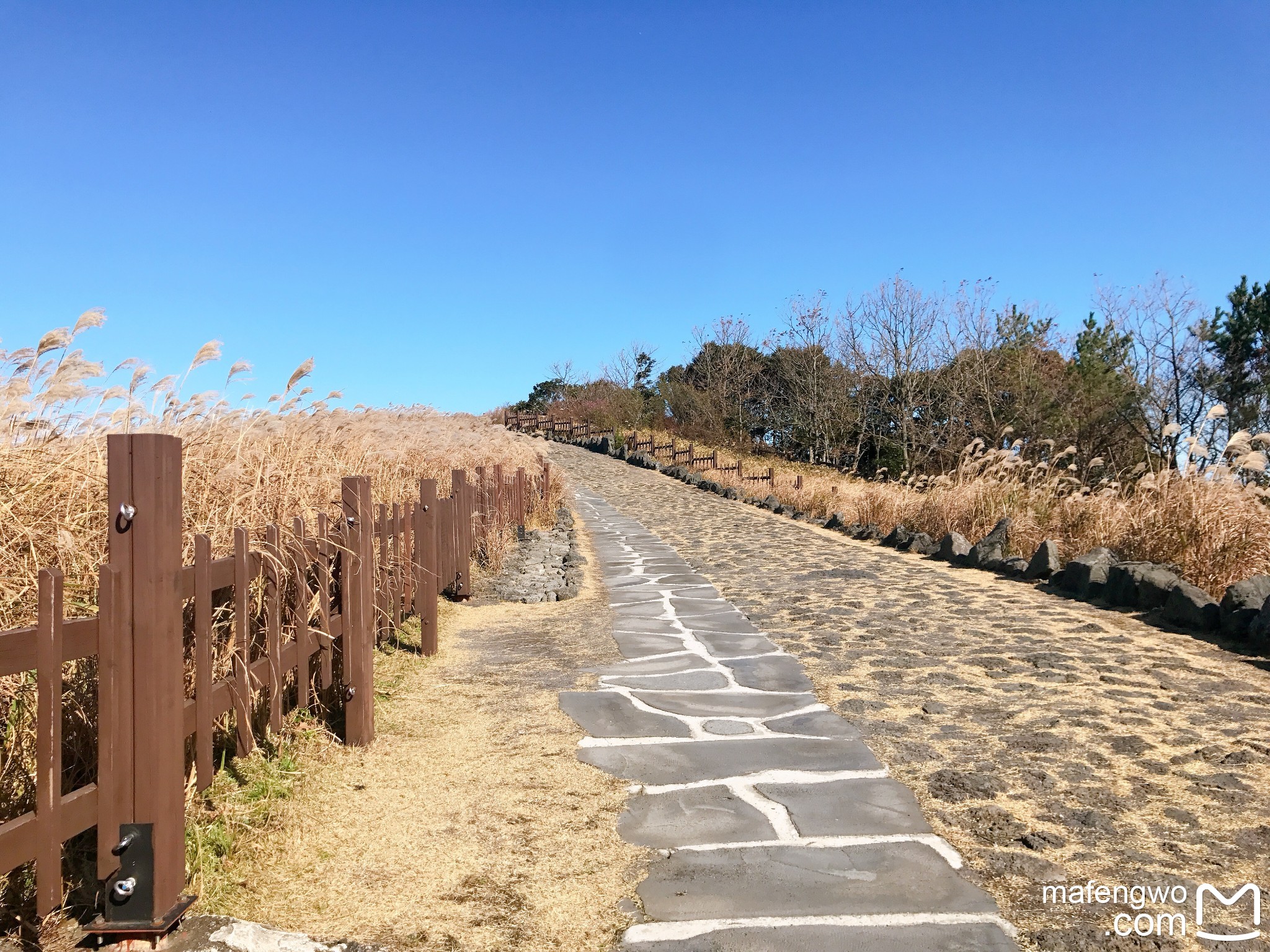 濟州島自助遊攻略