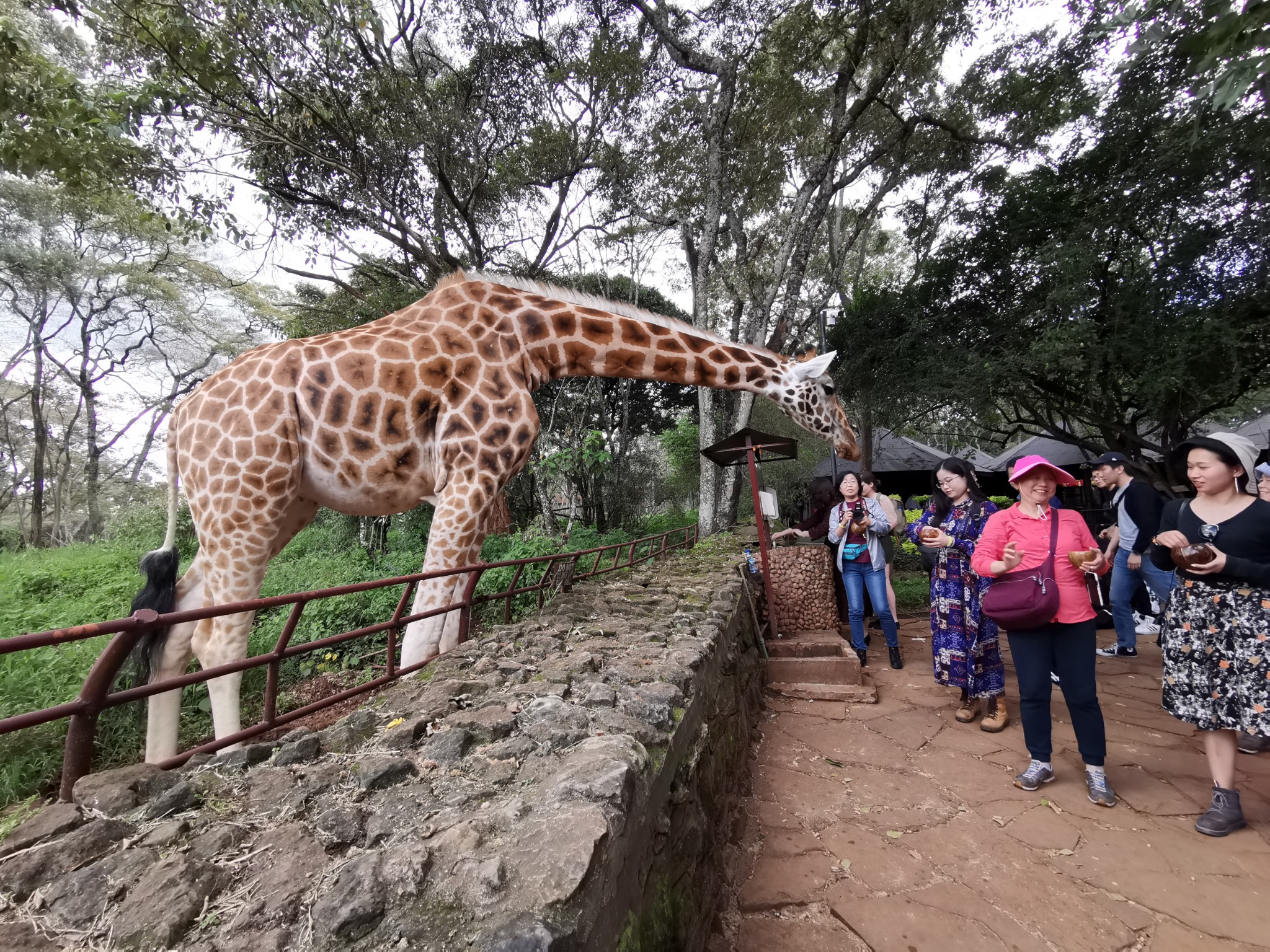 肯尼亞自助遊攻略