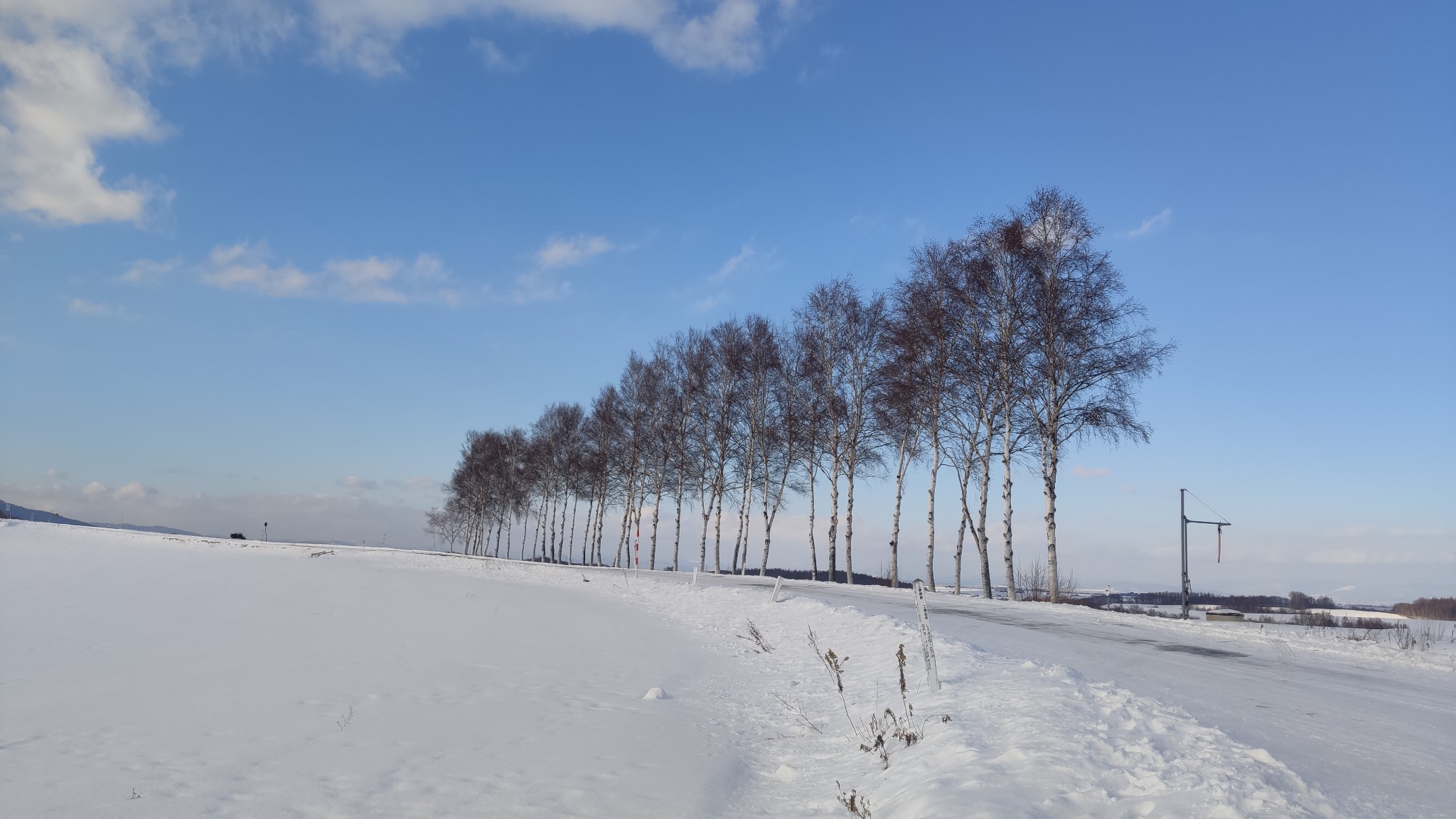 北海道自助遊攻略