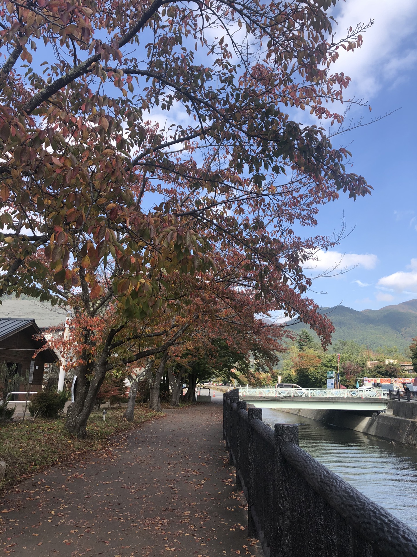 東京自助遊攻略