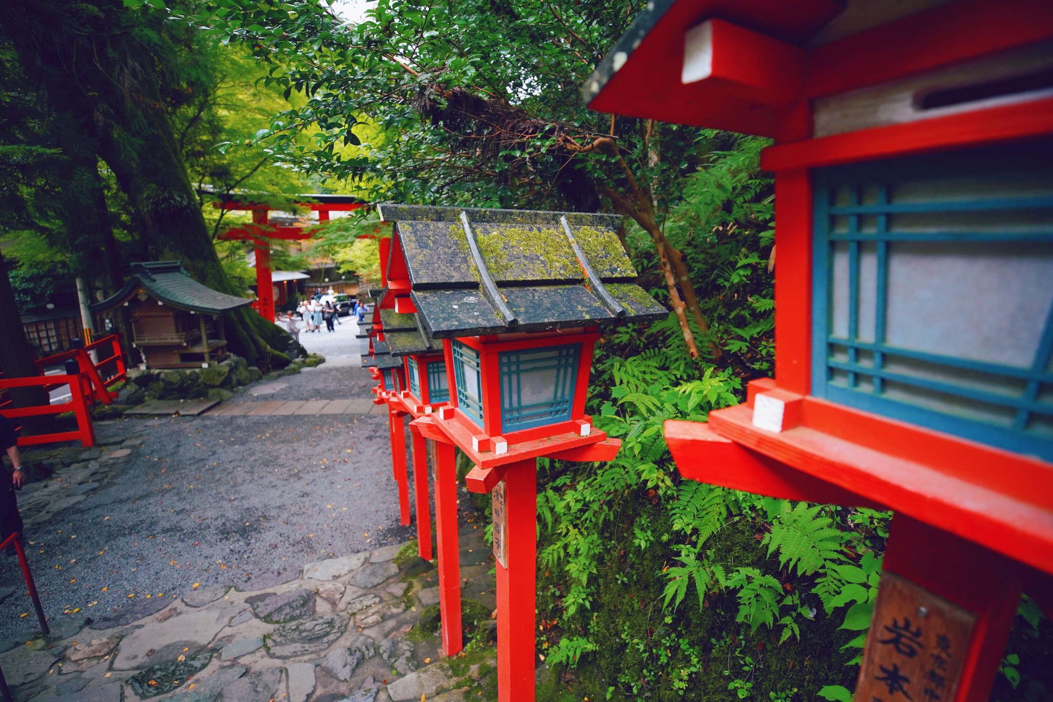 京都自助遊攻略