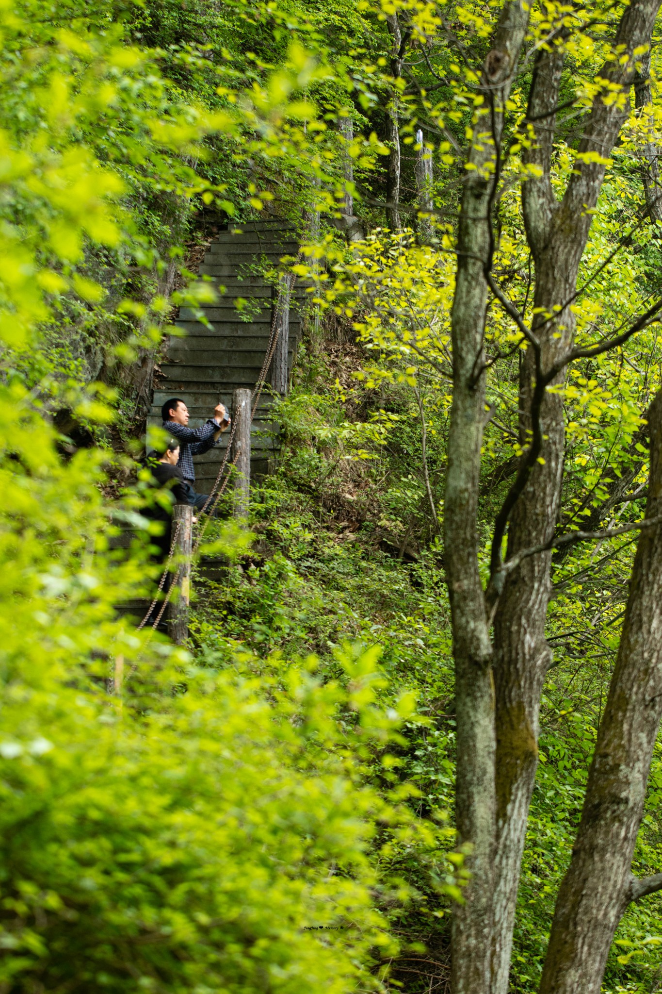 201678春游伏龙山,十堰自助游攻略 - 马蜂窝