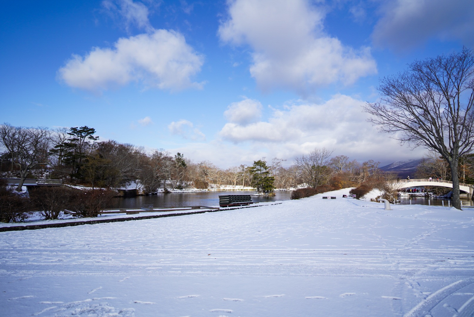 北海道自助遊攻略