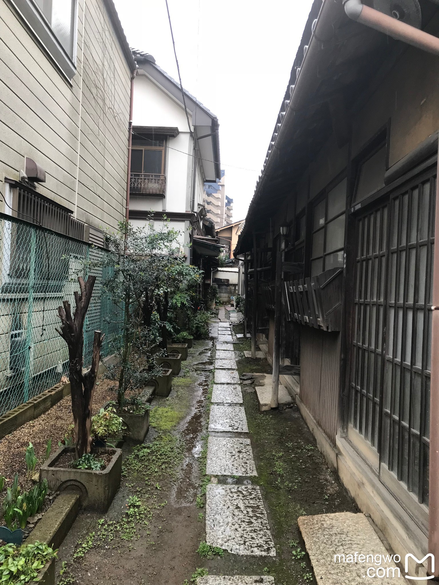 東京自助遊攻略