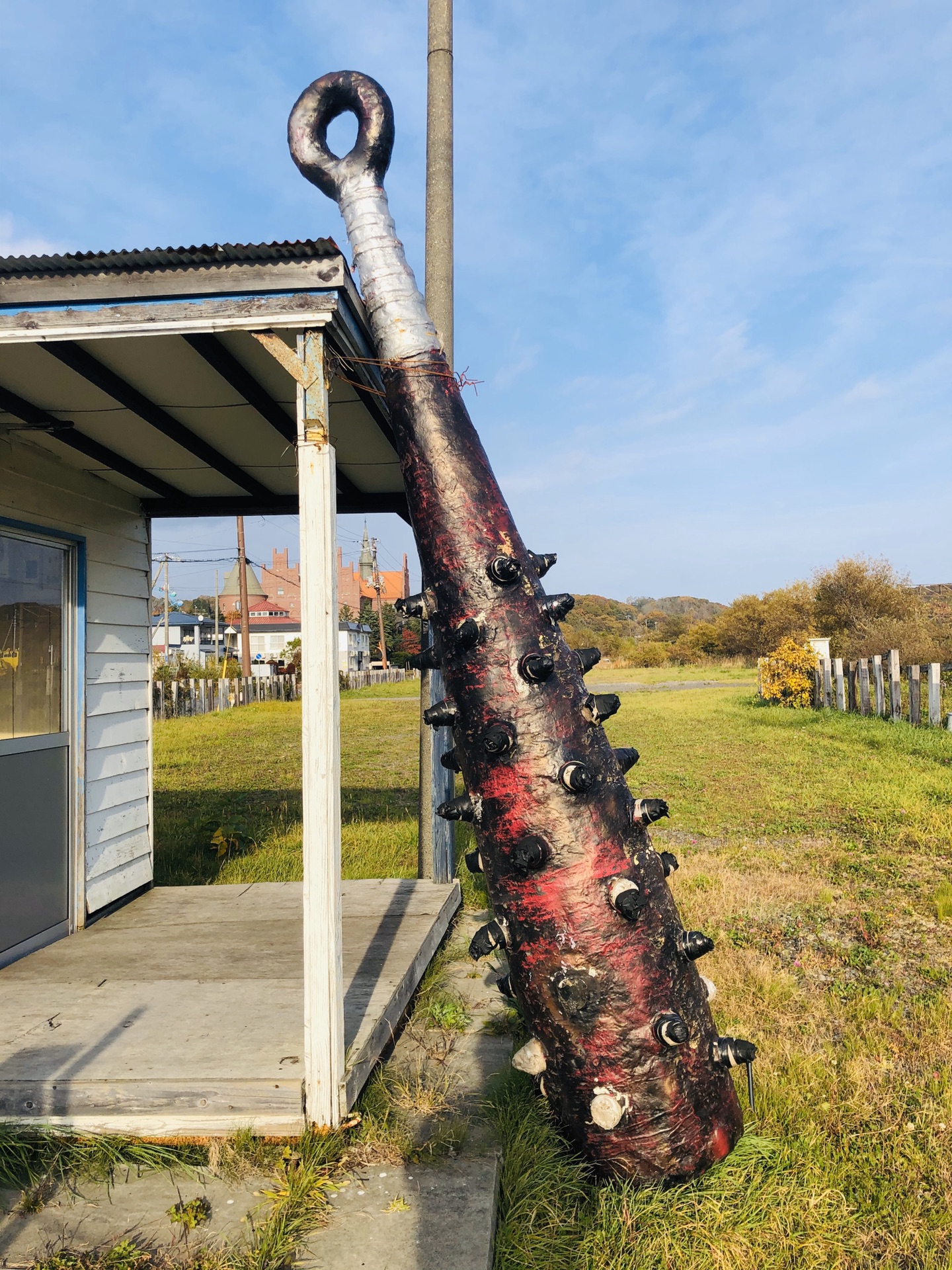 北海道自助遊攻略