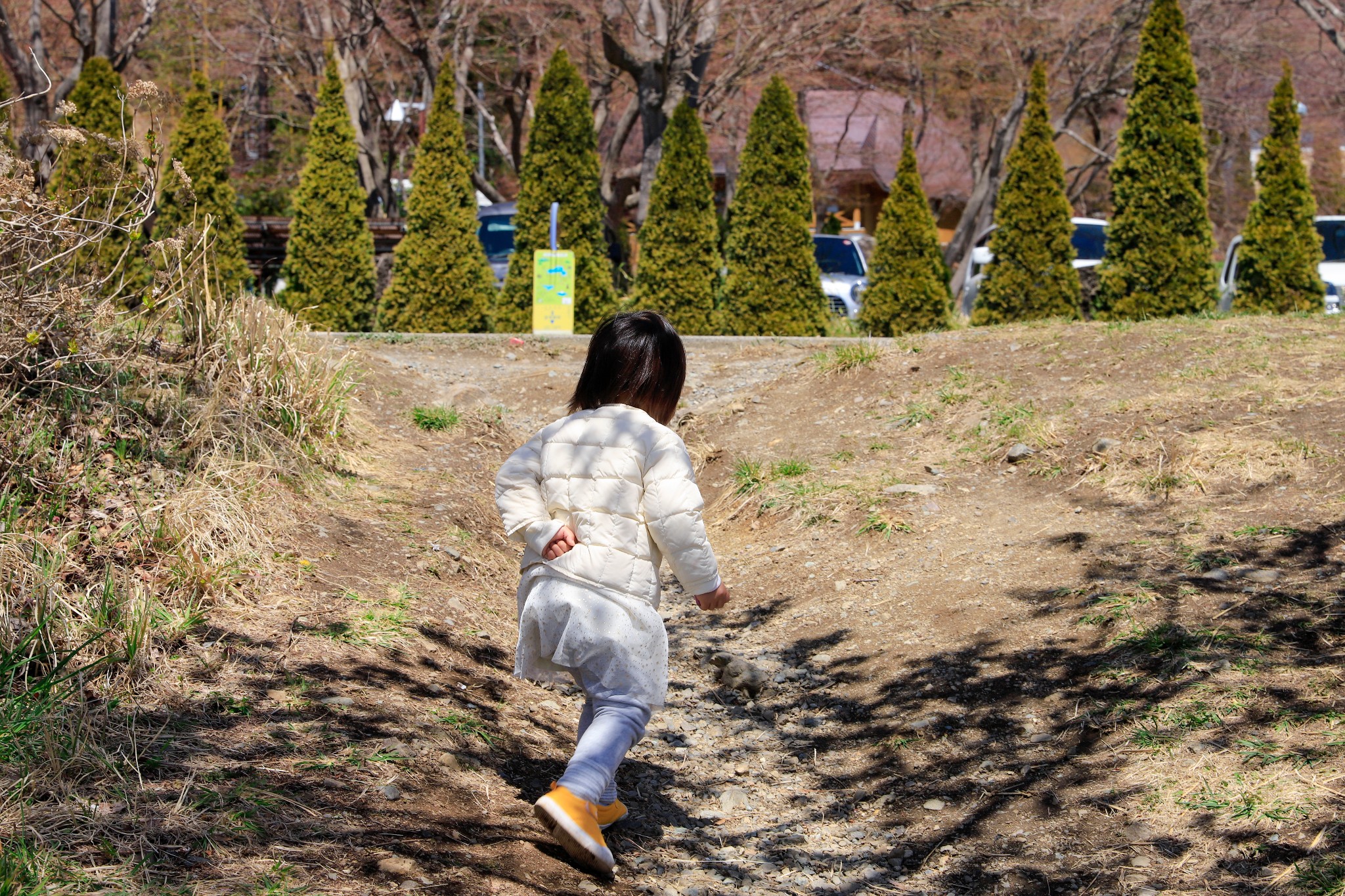 富士山自助遊攻略