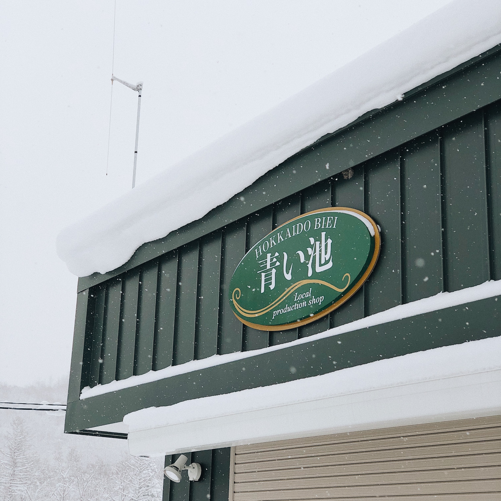 北海道自助遊攻略