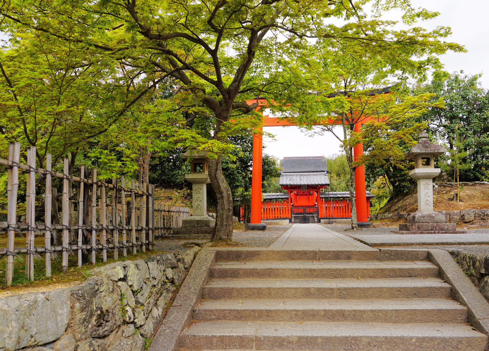 京都自助遊攻略