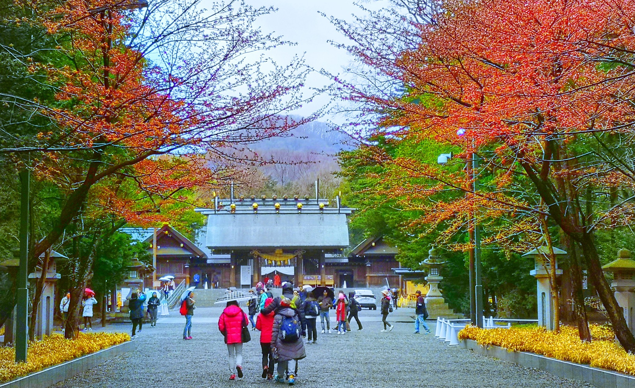 北海道自助遊攻略