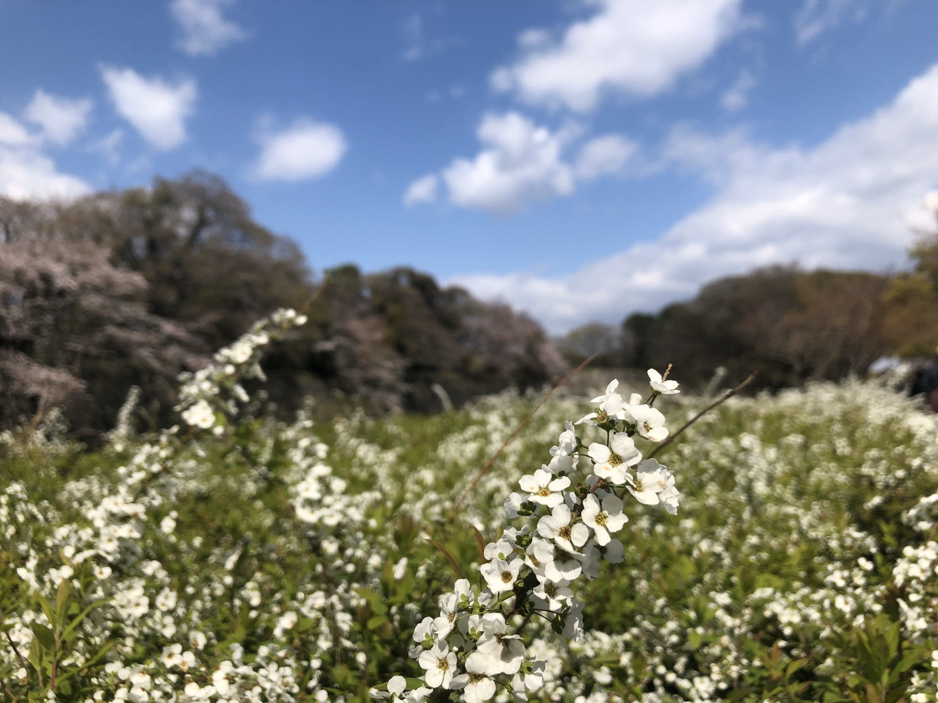 名古屋自助遊攻略