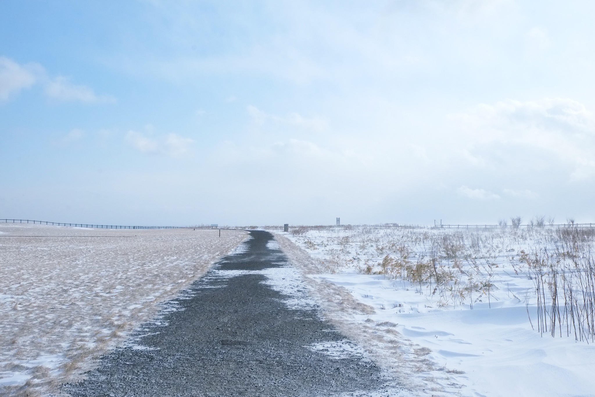 北海道自助遊攻略