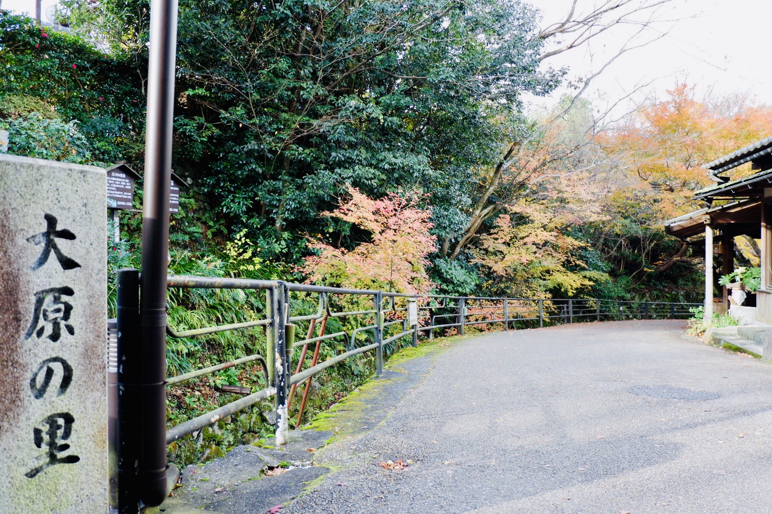 京都自助遊攻略