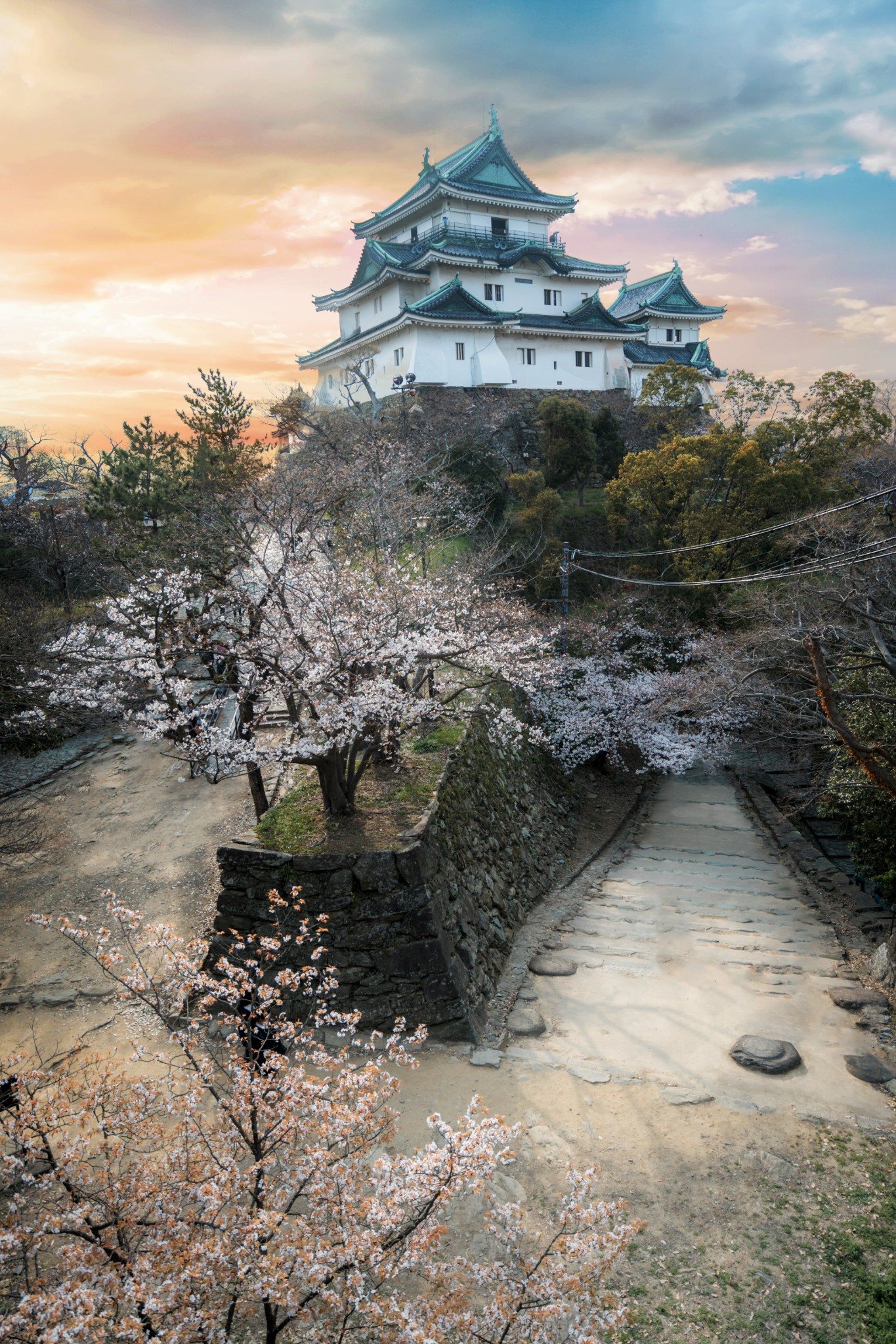 京都自助遊攻略