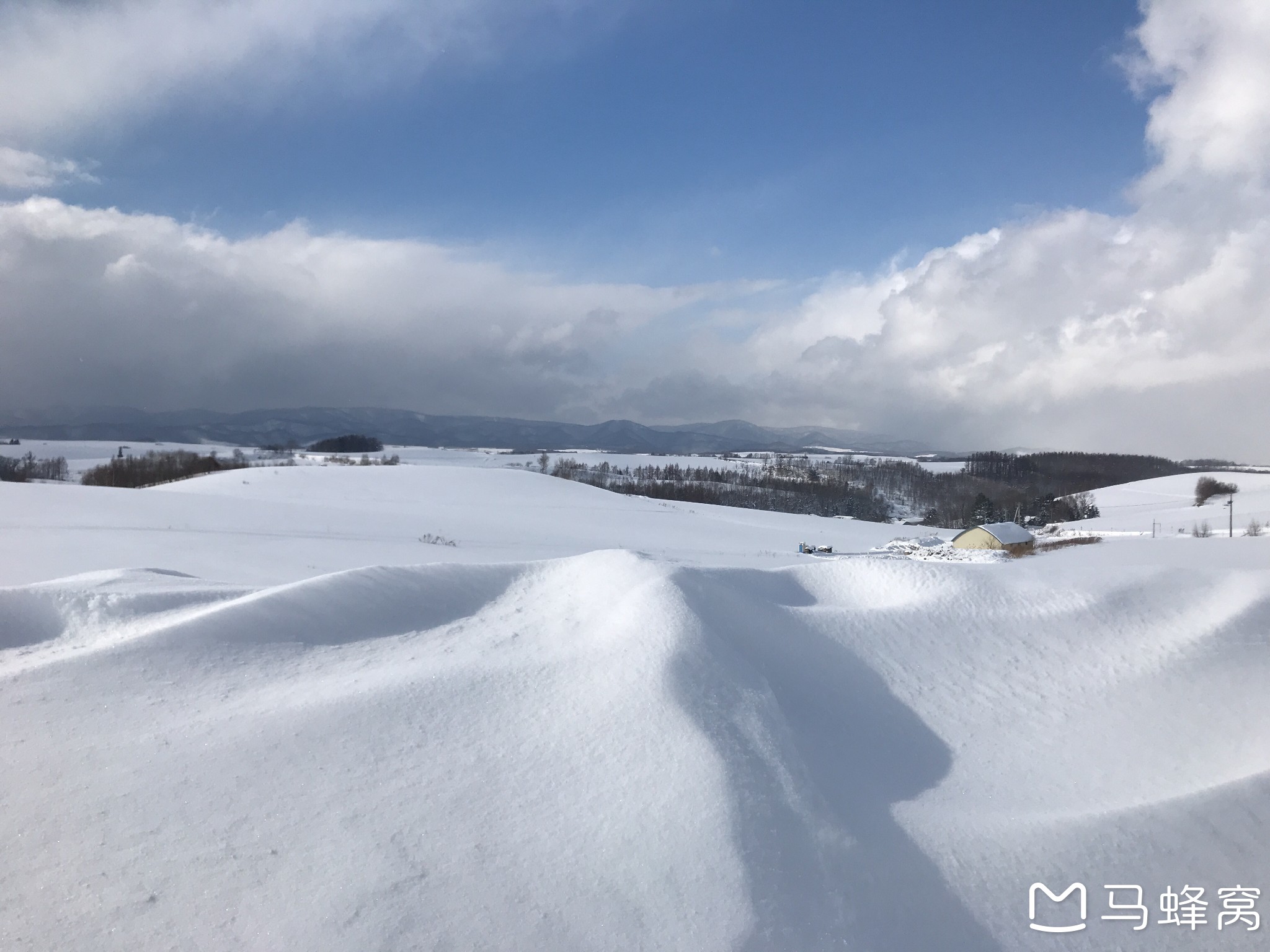 北海道自助遊攻略