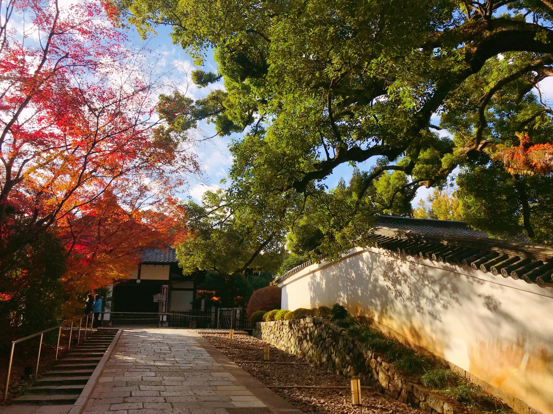 京都自助遊攻略