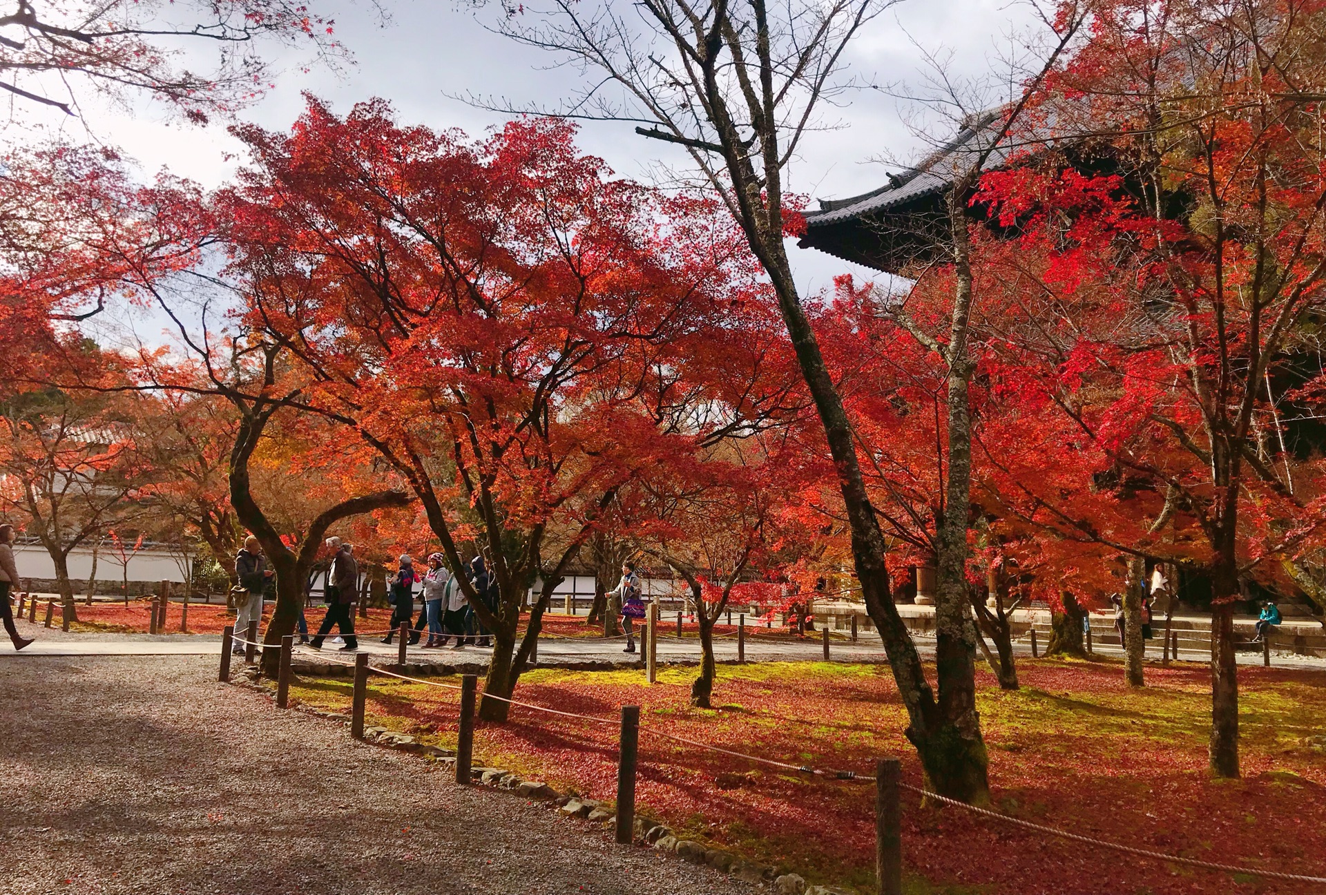 京都自助遊攻略