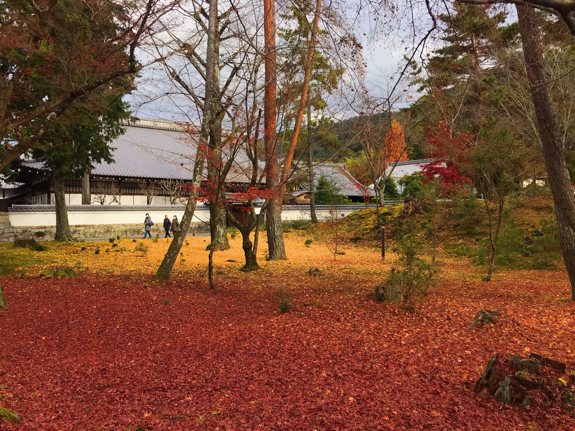 京都自助遊攻略