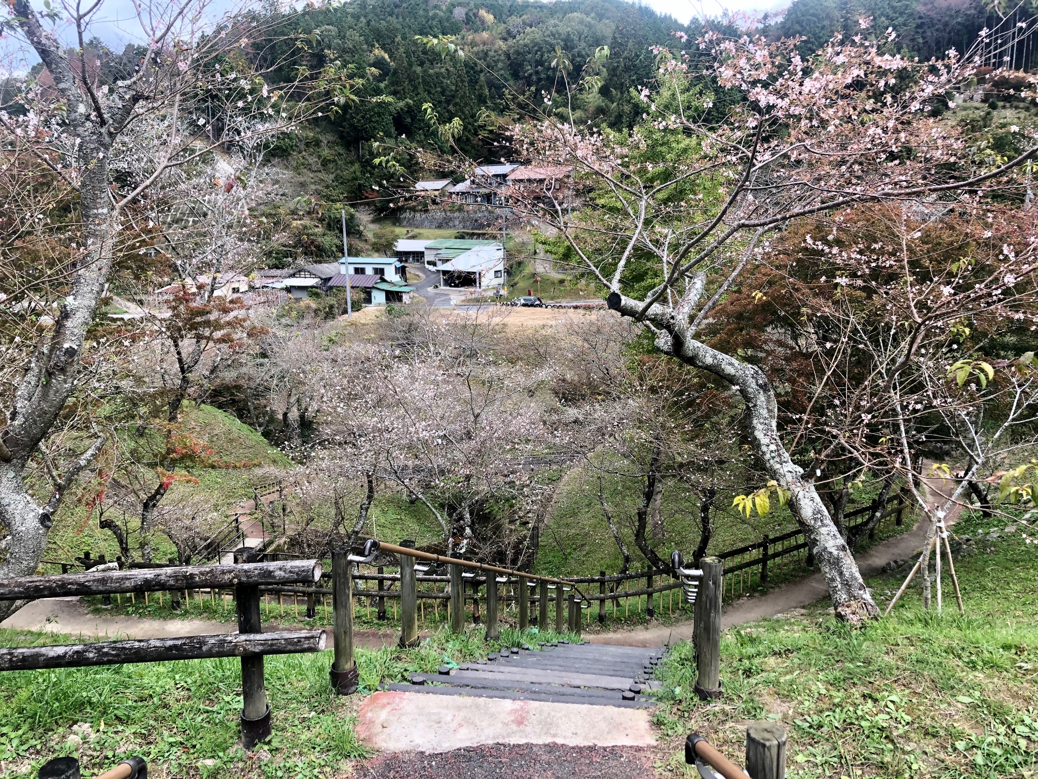 名古屋自助遊攻略