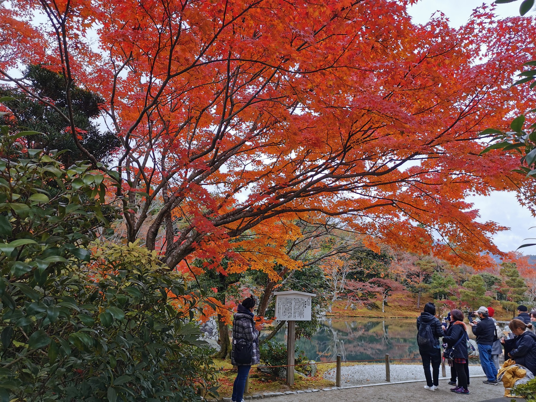 京都自助遊攻略