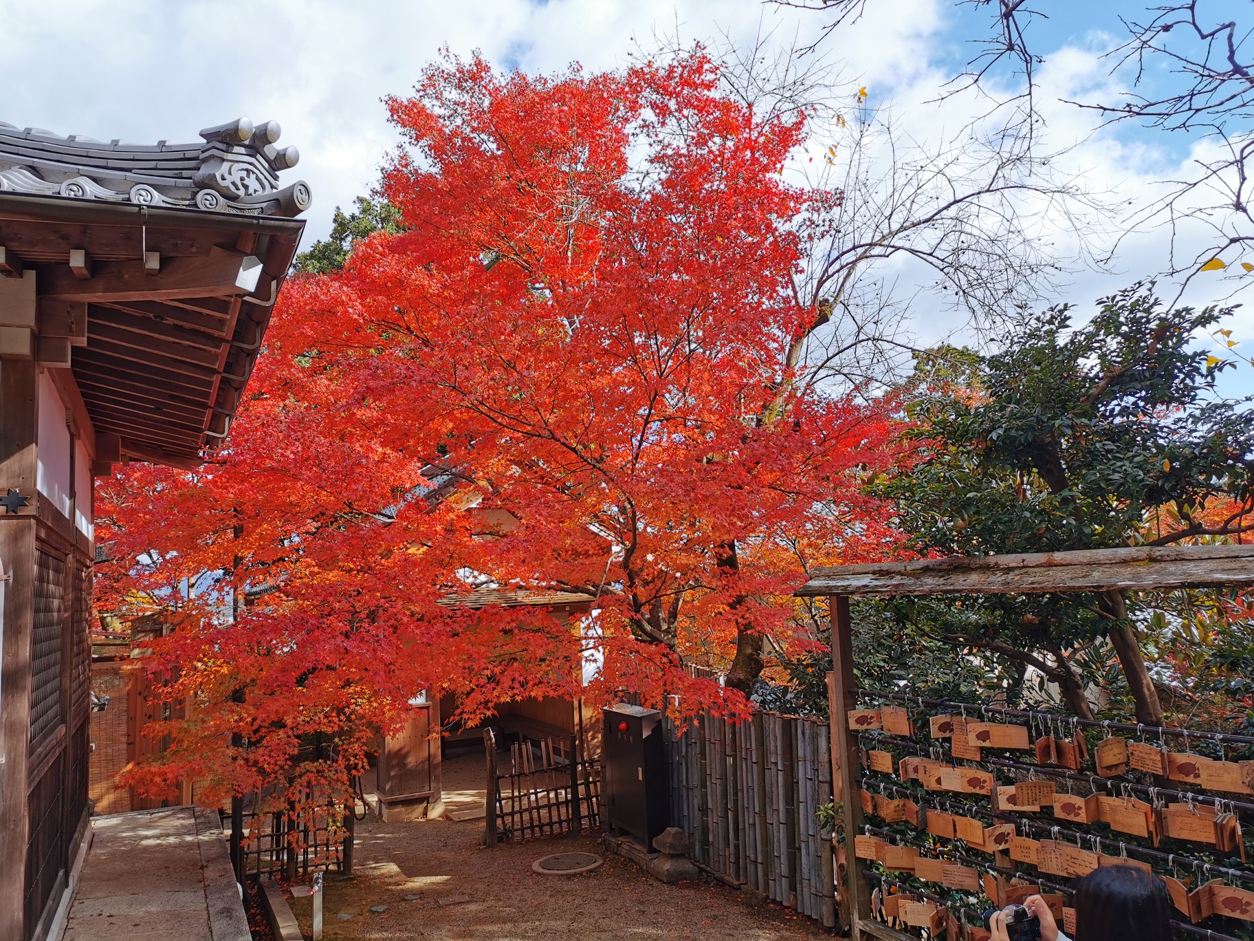 京都自助遊攻略