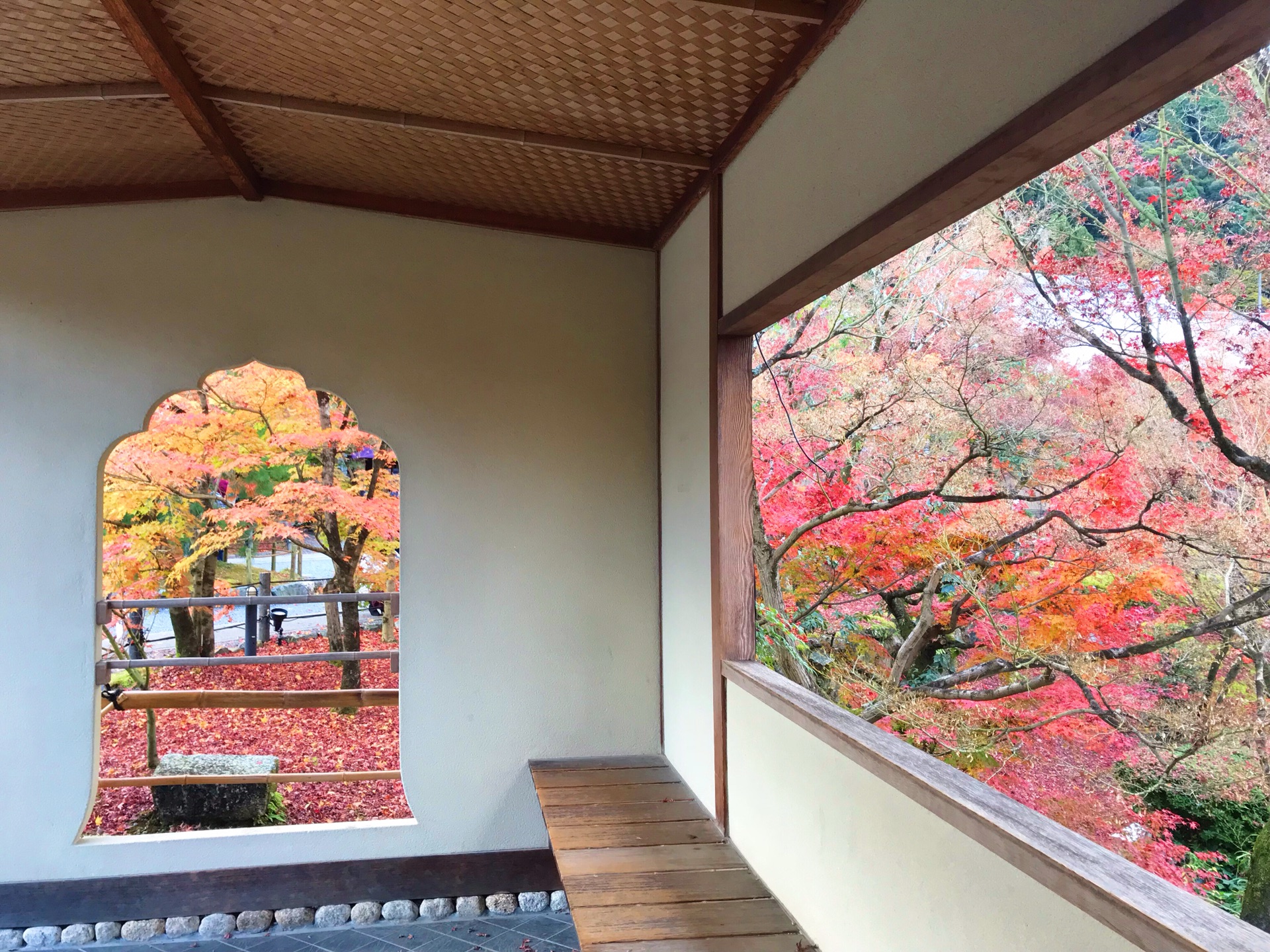 京都自助遊攻略