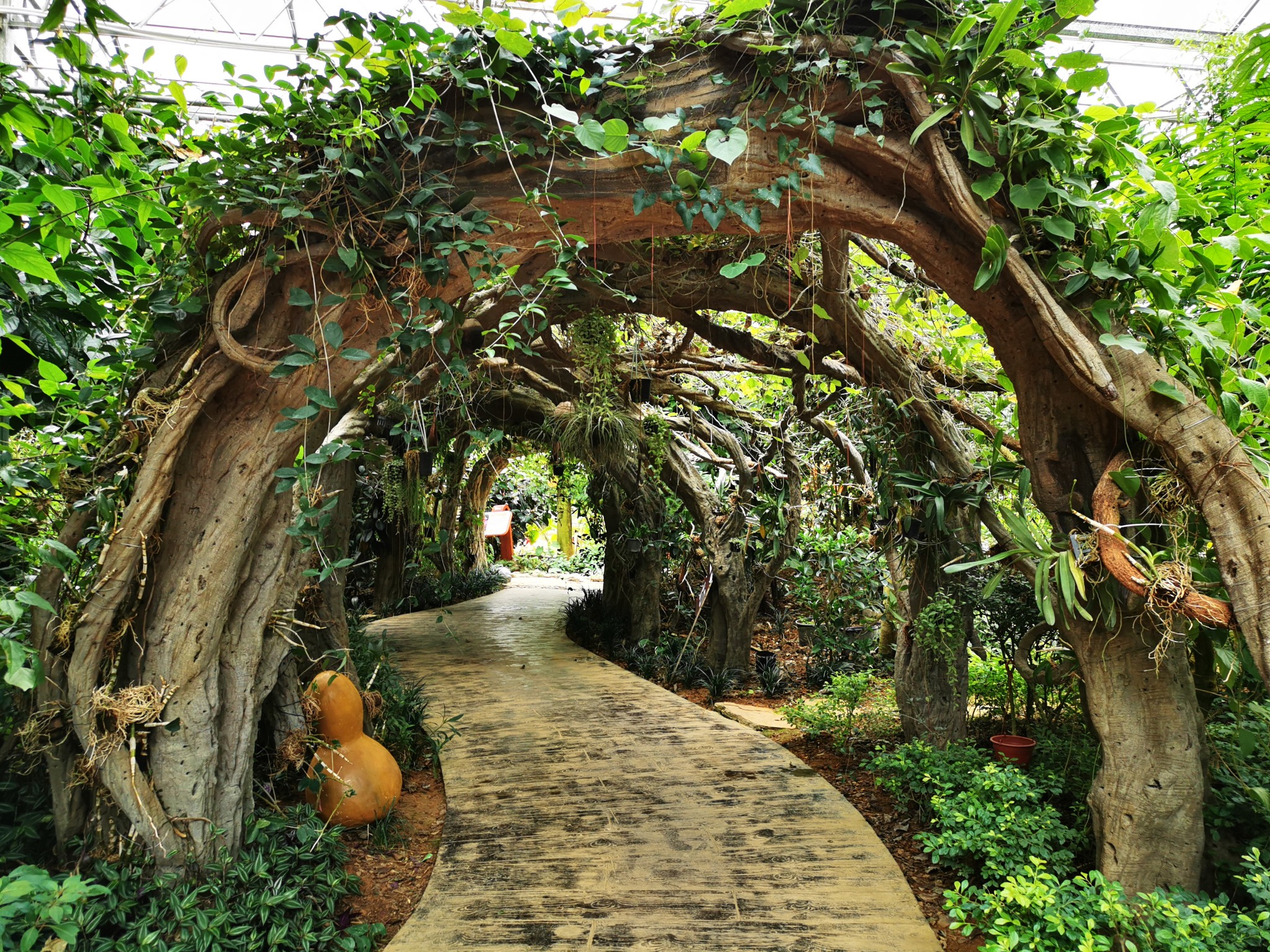 贵州132遵义再游农博园