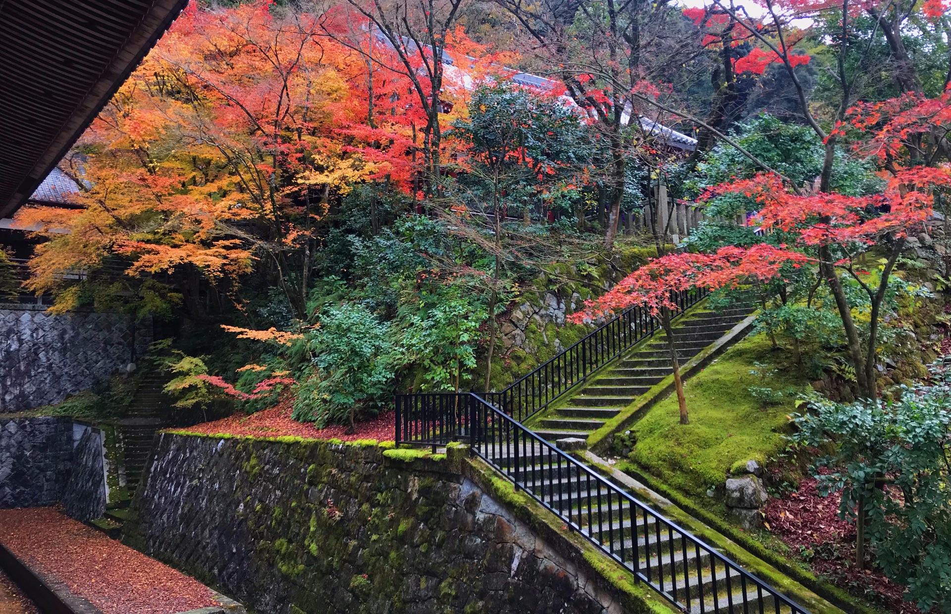 京都自助遊攻略