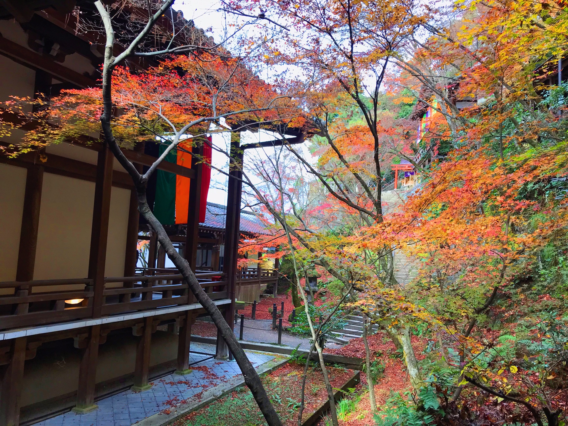 京都自助遊攻略