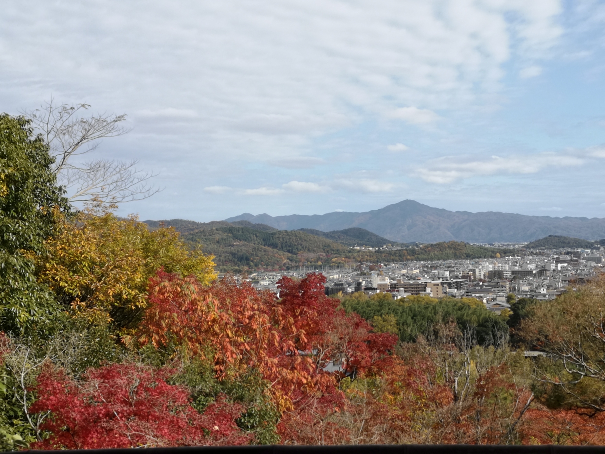 京都自助遊攻略