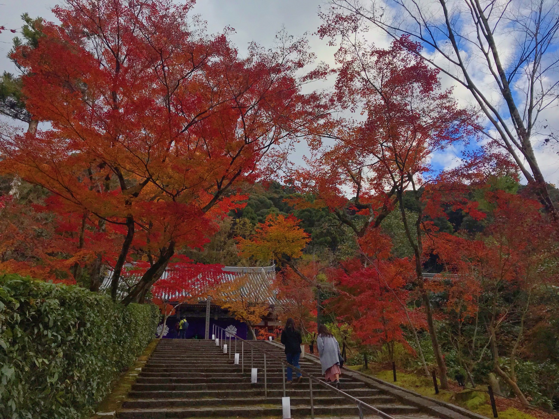 京都自助遊攻略