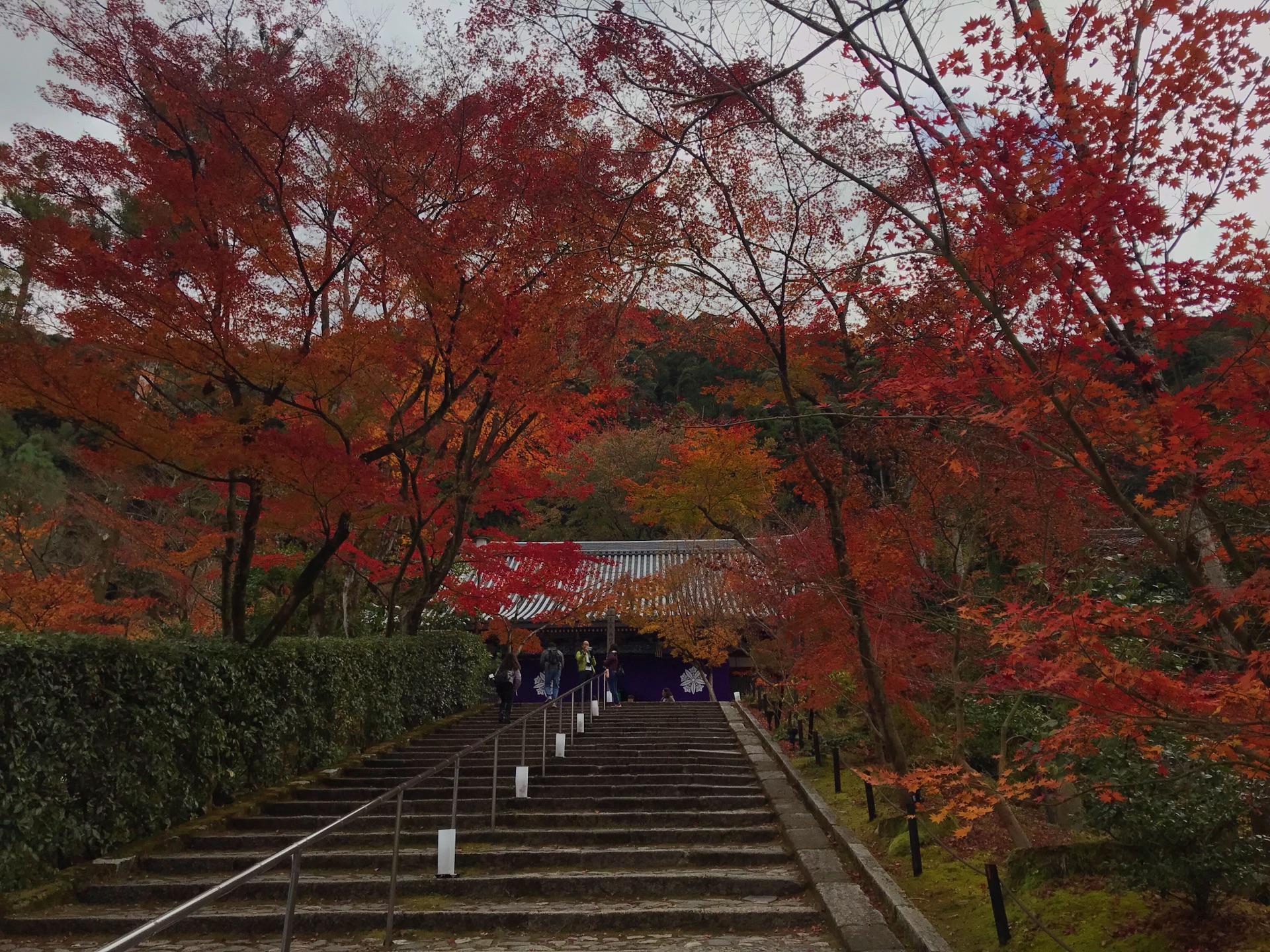 京都自助遊攻略