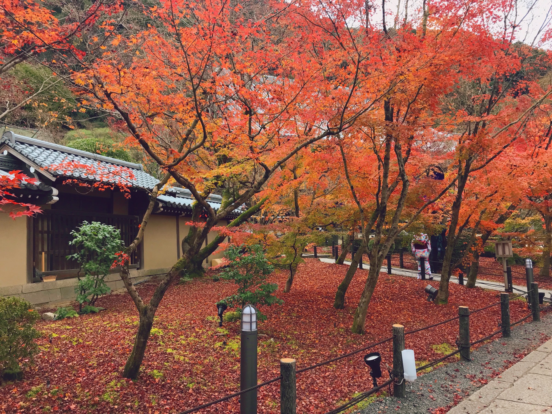 京都自助遊攻略