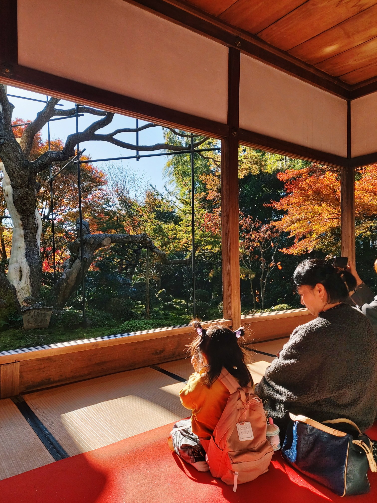 京都自助遊攻略