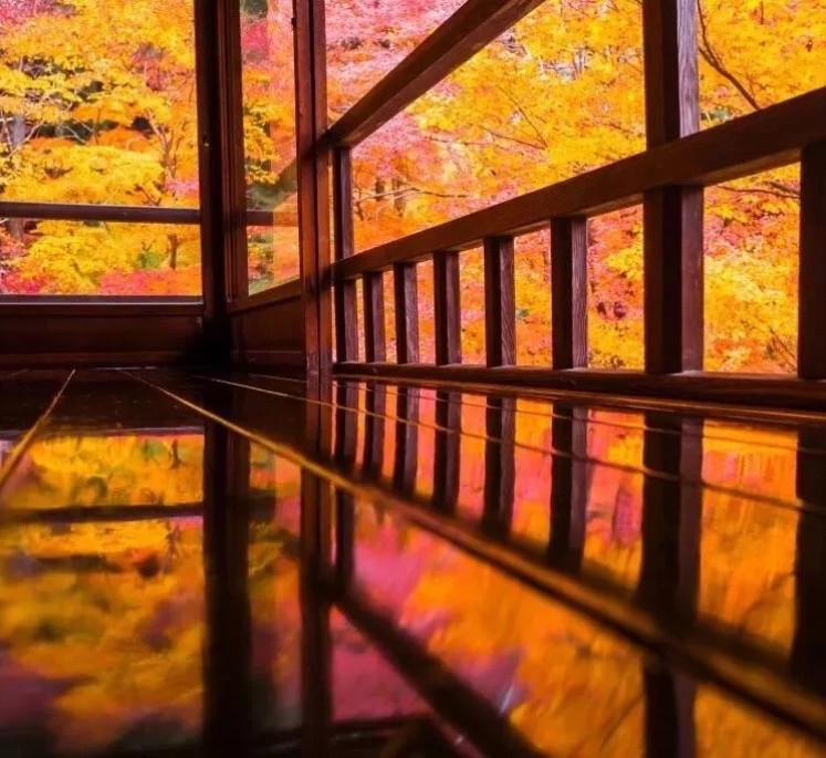 被游客挤满的京都红叶季 还能找到清净之所吗 手机马蜂窝