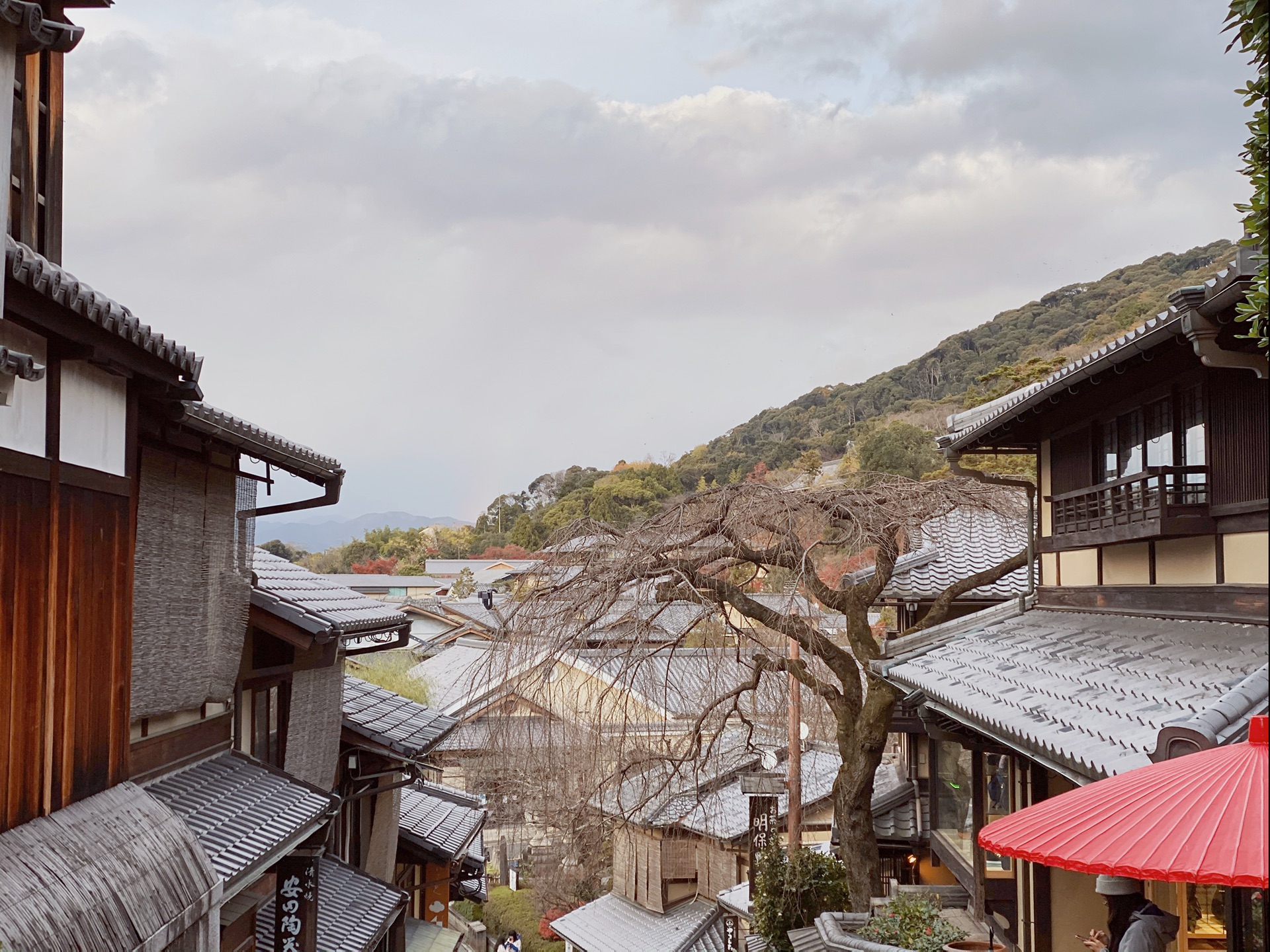 京都自助遊攻略