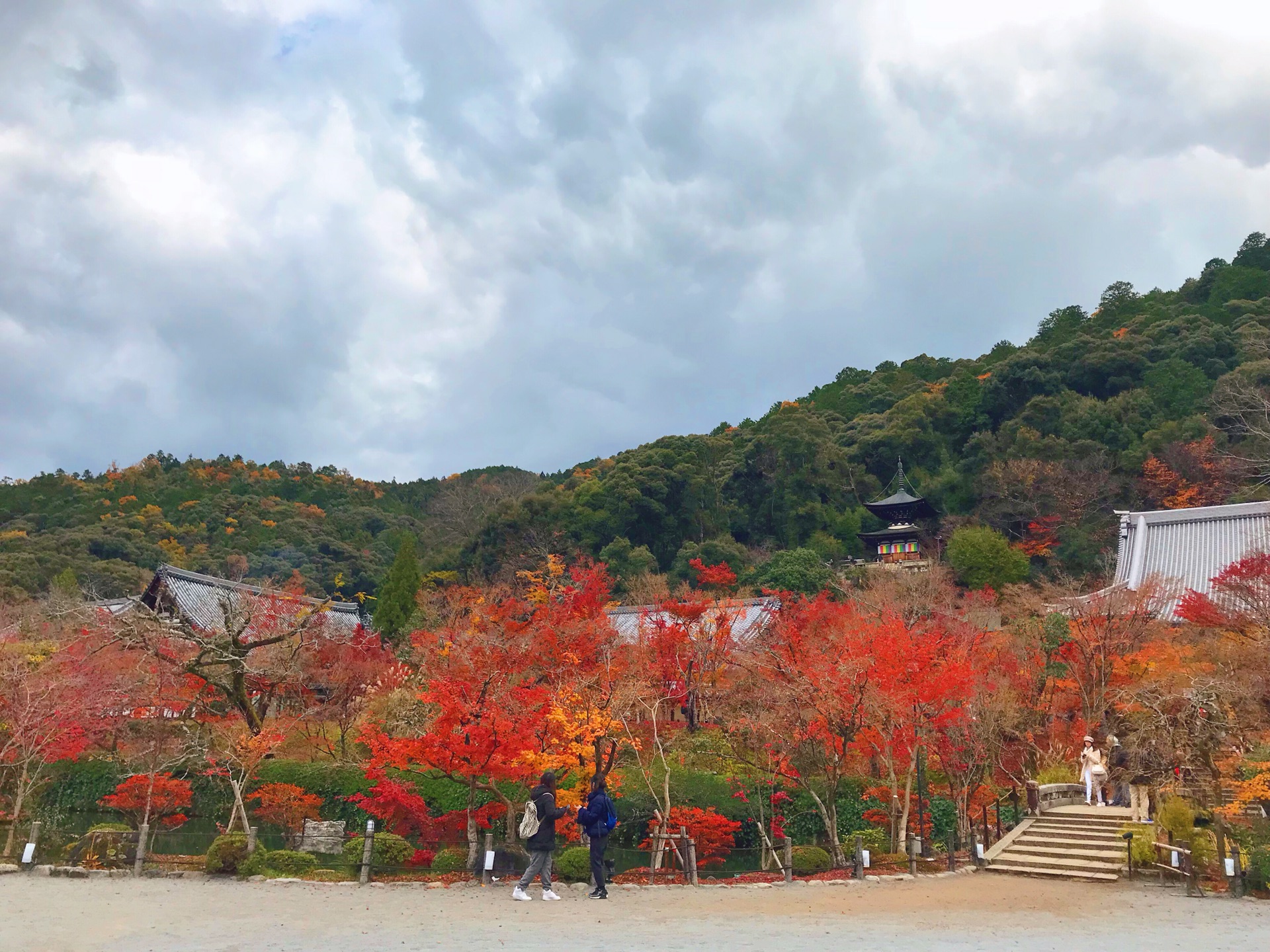 京都自助遊攻略