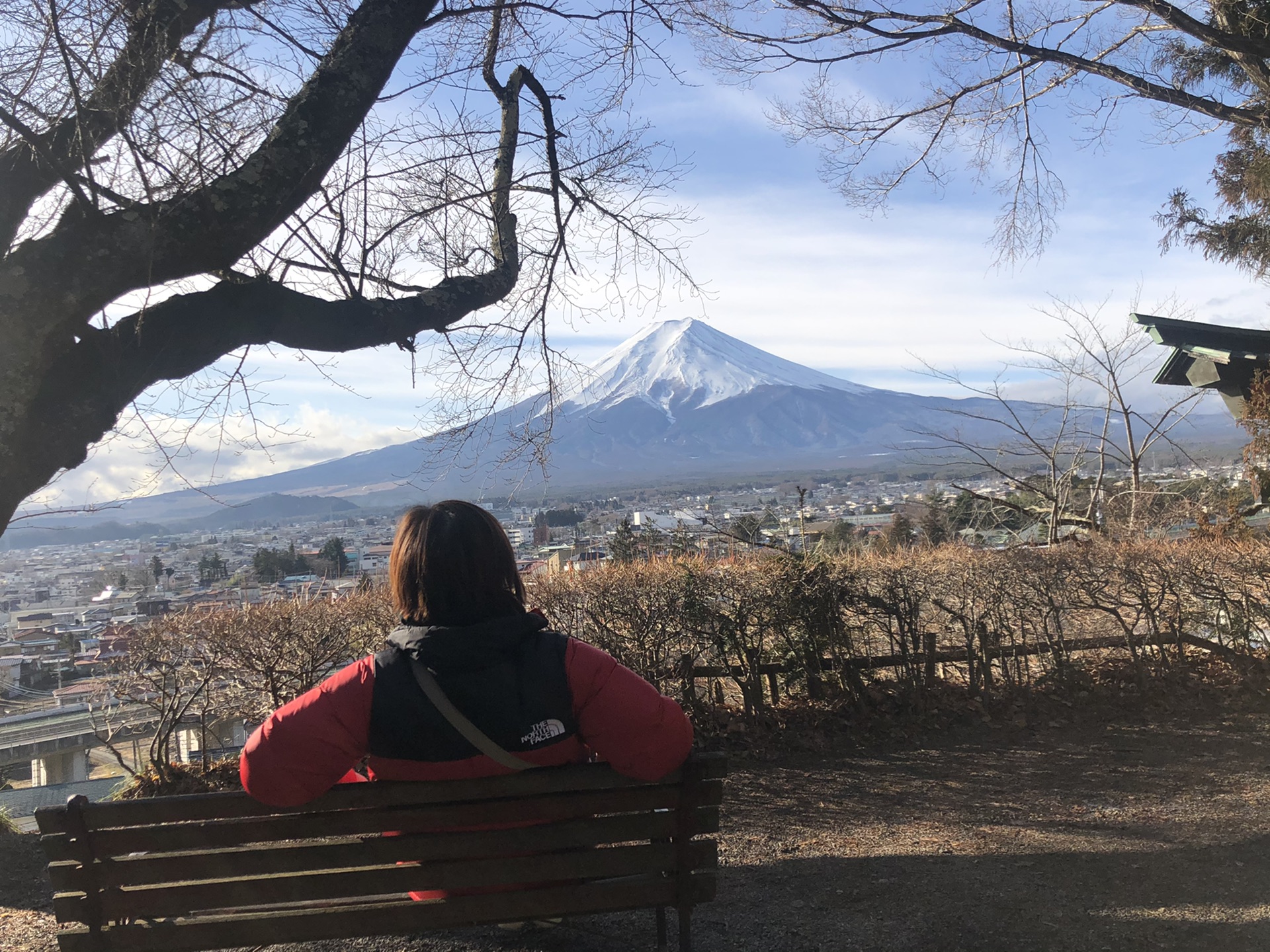 東京自助遊攻略