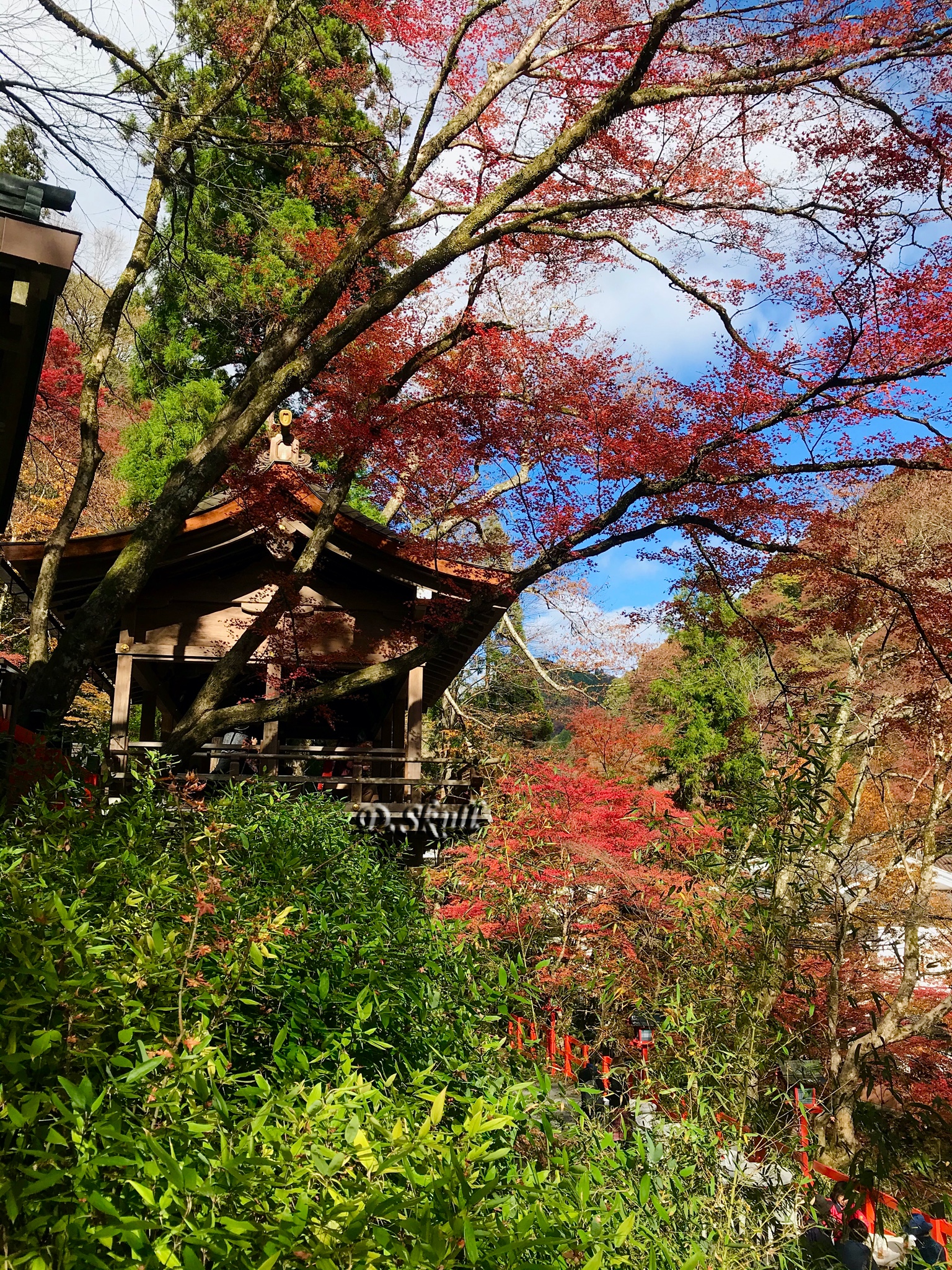 京都自助遊攻略