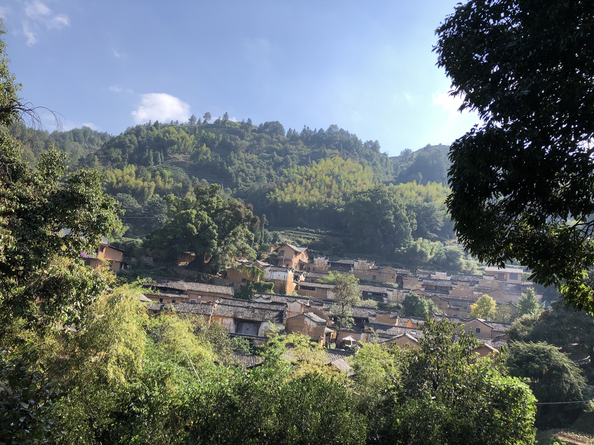 一個人的旅行79自駕松陽篇圖片65,松陽旅遊景點,風景名勝 - 馬蜂窩