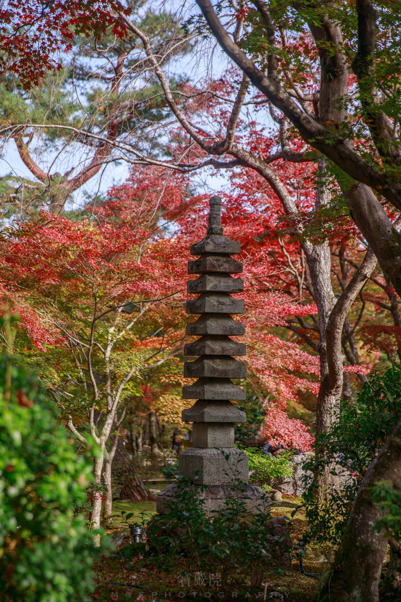 京都自助遊攻略