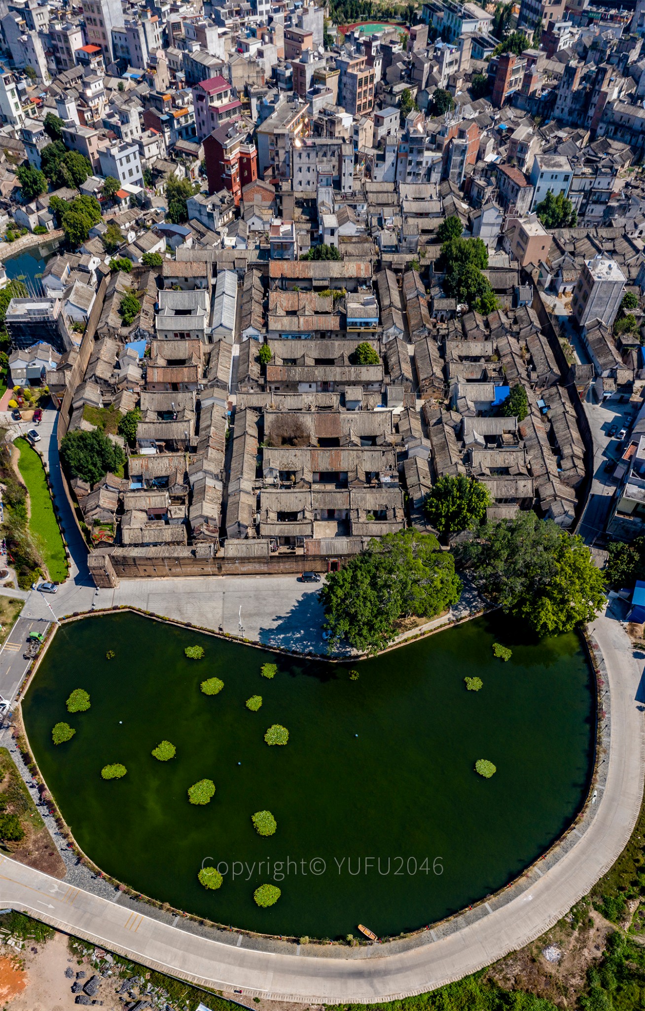 丰顺汤南种玊上围202001