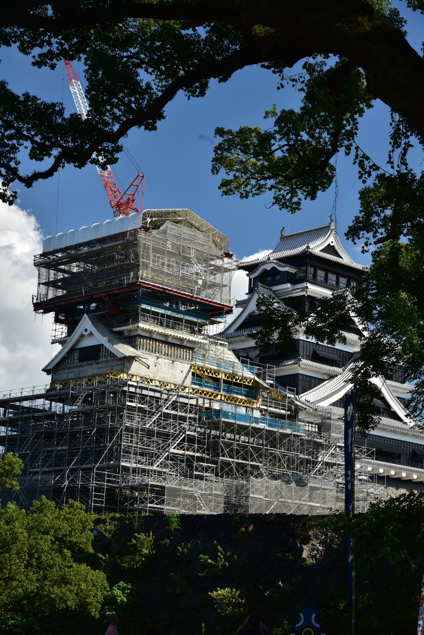 十一别府熊本福冈别府熊本7日
