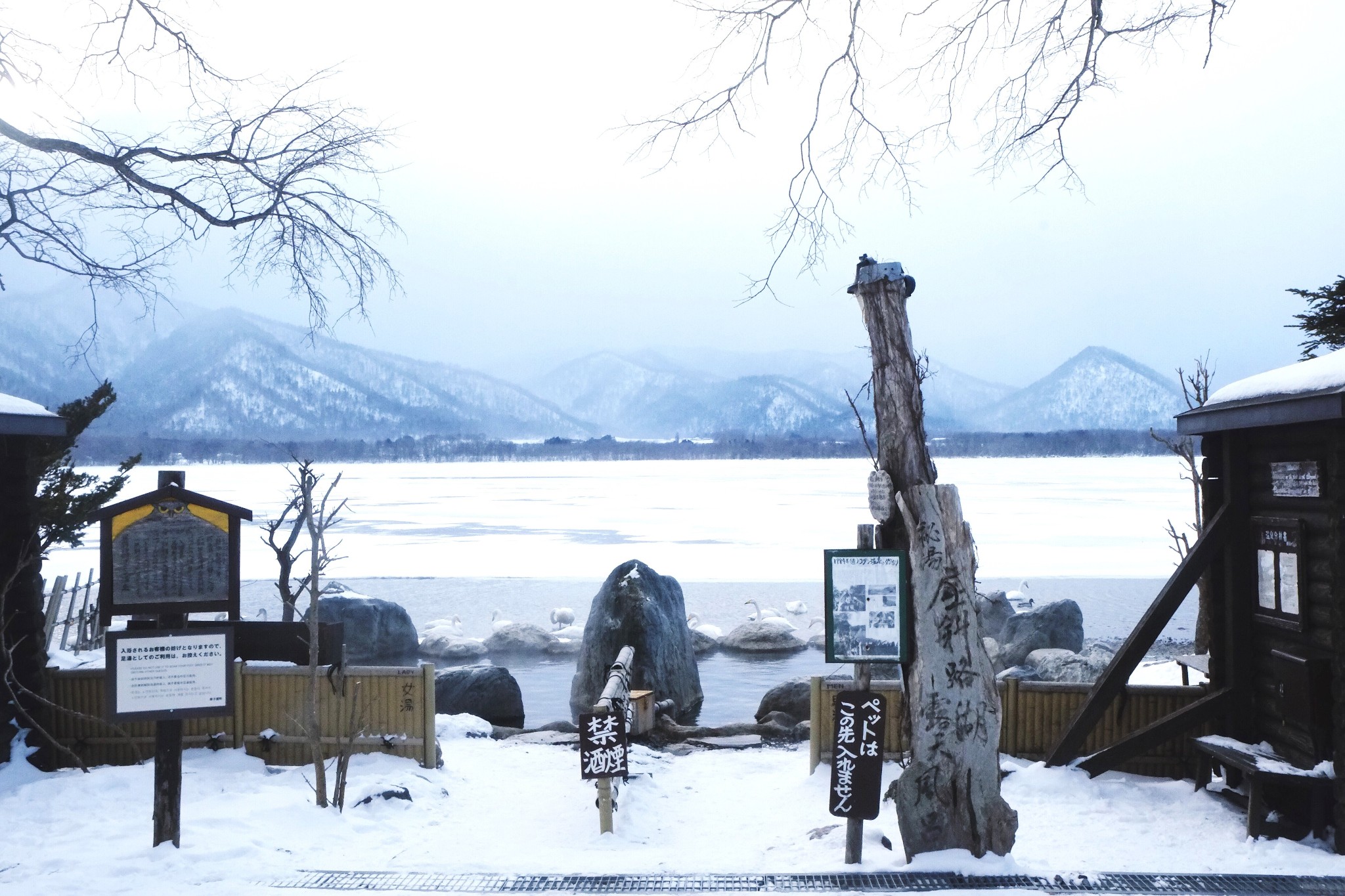 北海道自助遊攻略