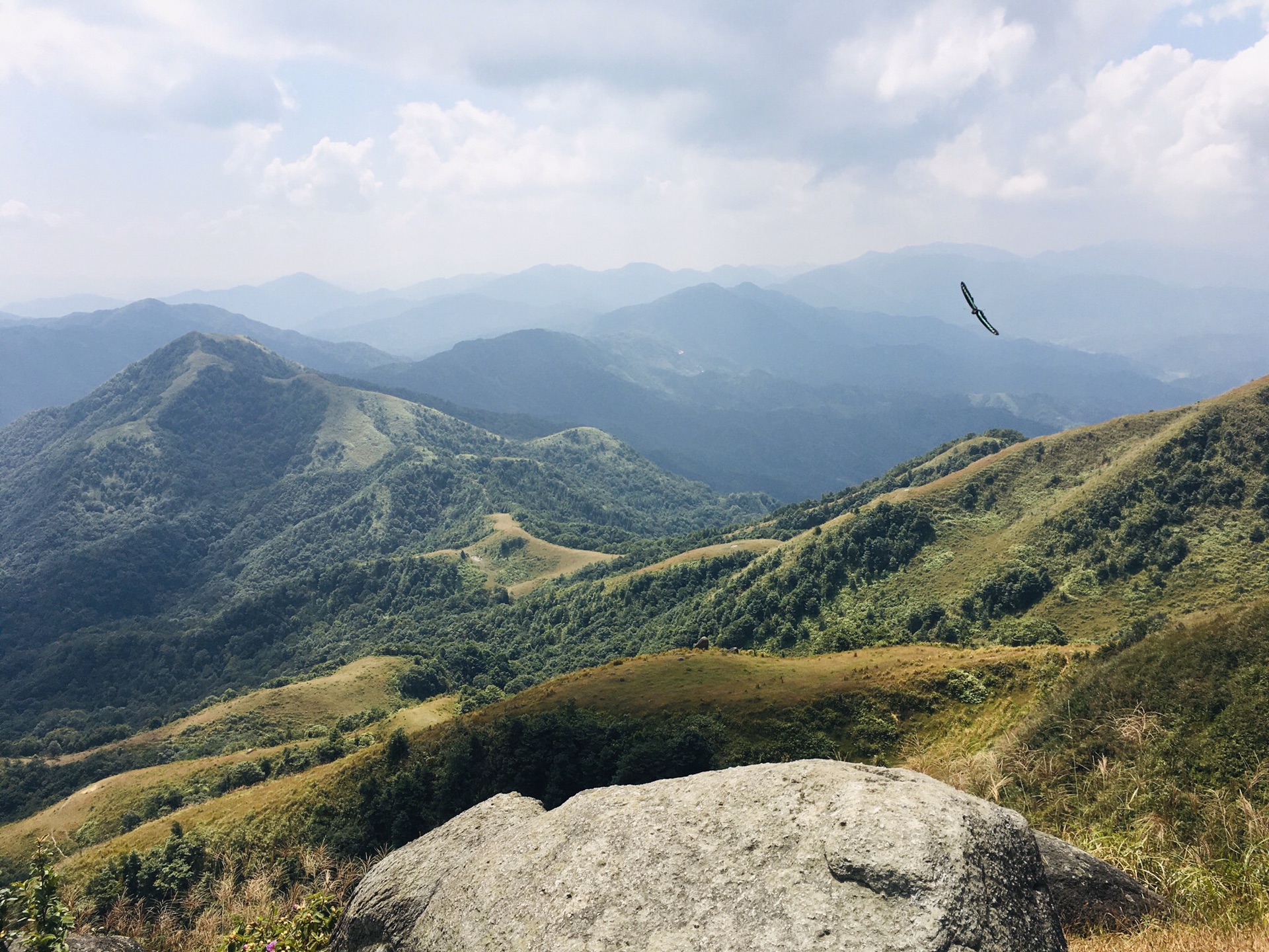 年度第29座 - 八排山(云浮)_游记