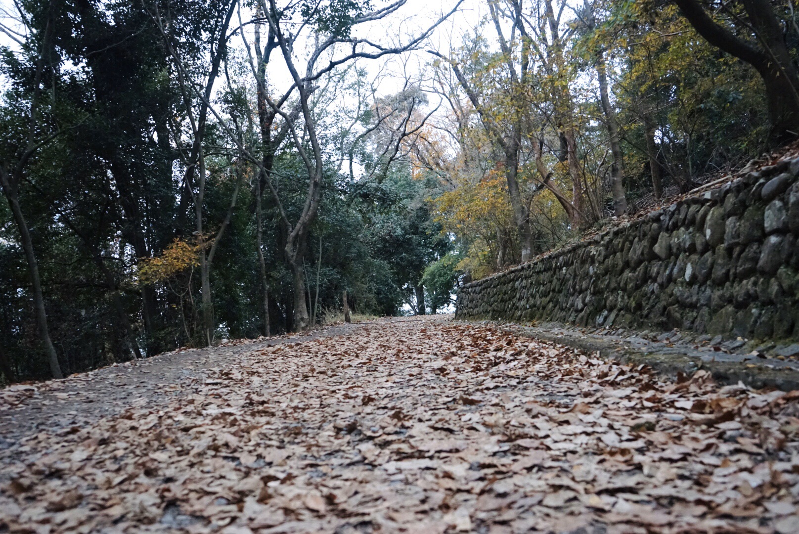 大阪自助遊攻略