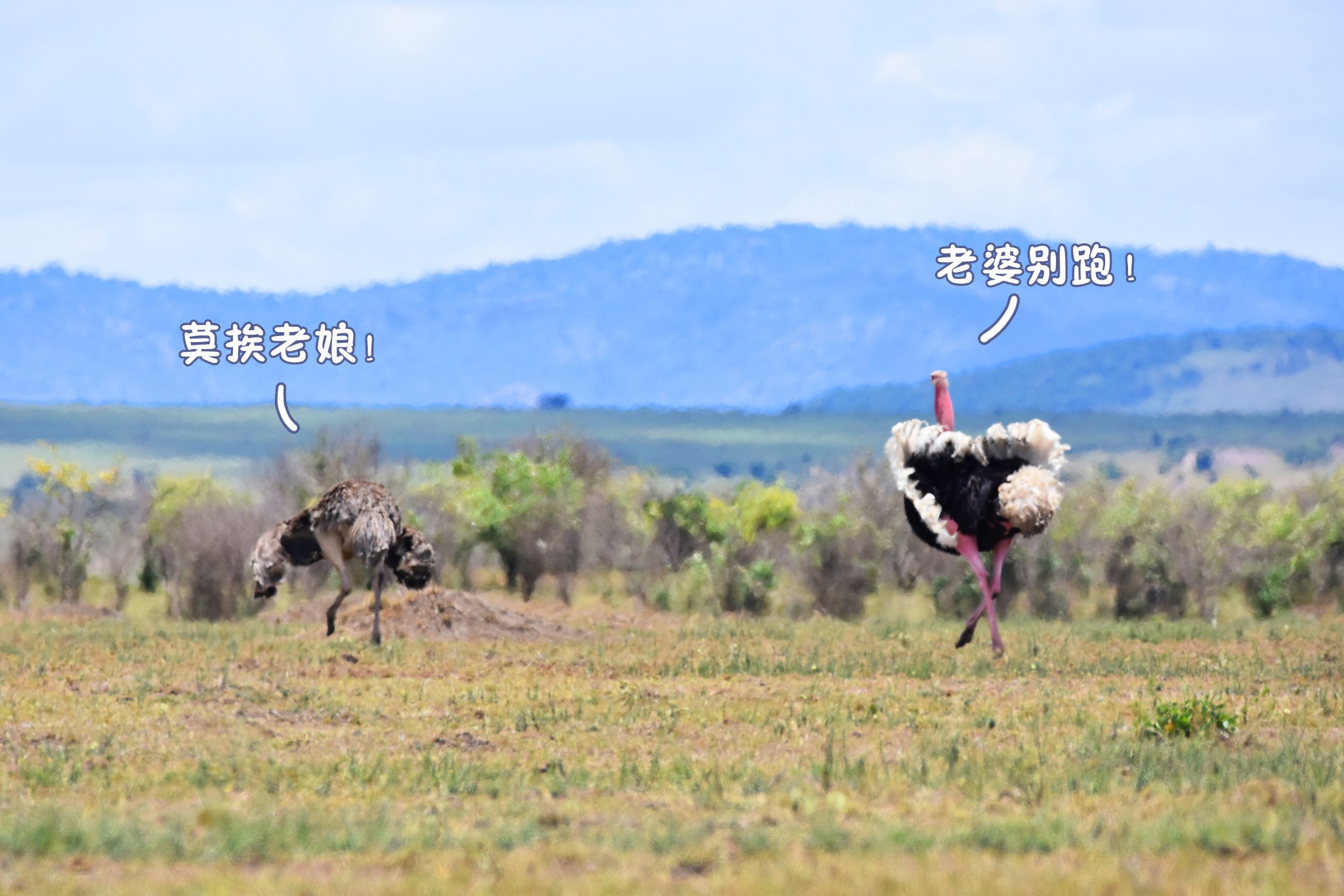 肯尼亞自助遊攻略