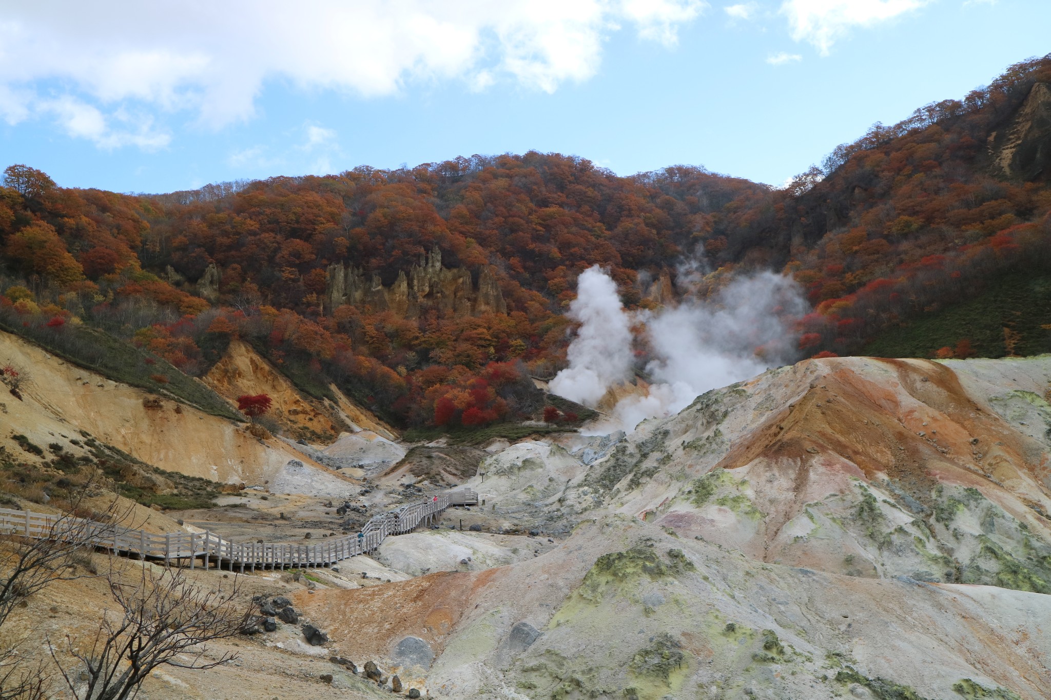 北海道自助遊攻略