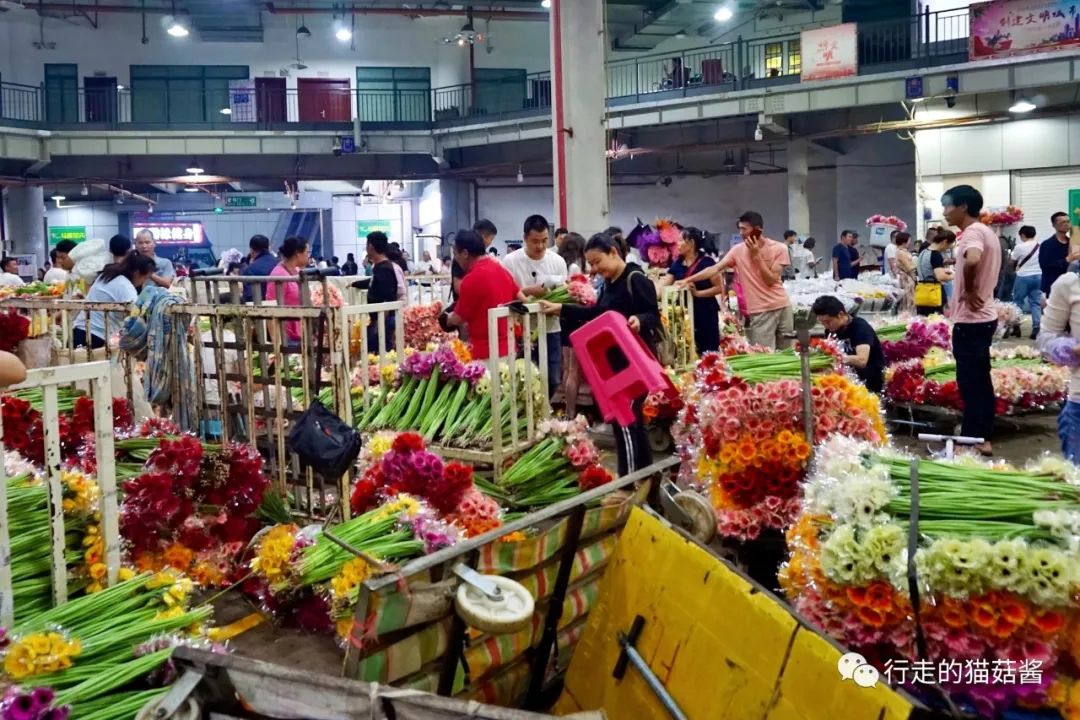 昆明斗南花市十块钱30支玫瑰全国最大鲜花批发市场